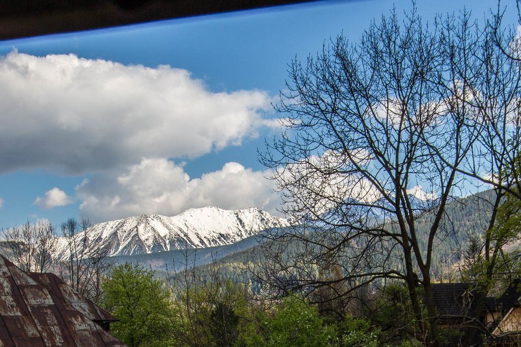 Apartament Owcze Runo Zakopane Exteriör bild